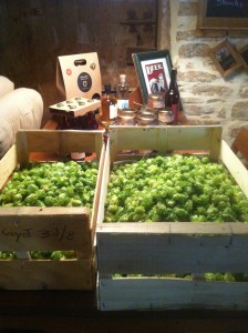 le houblon de Curis et Poleymieux au Mont d'Or 